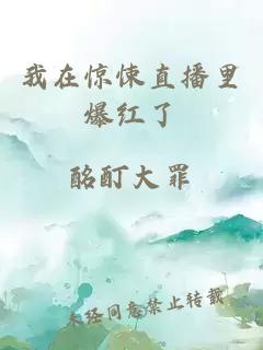 我在惊悚直播里爆红了