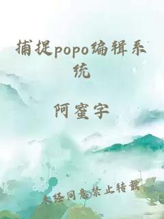 捕捉popo编辑系统
