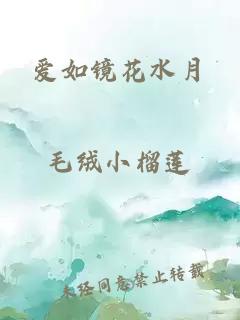 爱如镜花水月