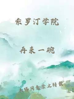 索罗汀学院