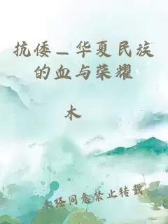 抗倭—华夏民族的血与荣耀