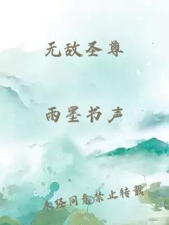 无敌圣尊