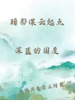 暗影谍云起点