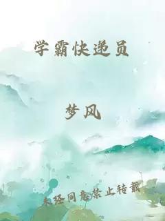 学霸快递员