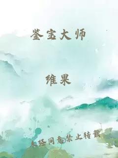 鉴宝大师