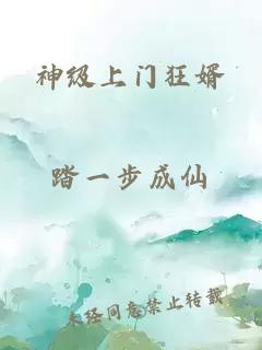 神级上门狂婿