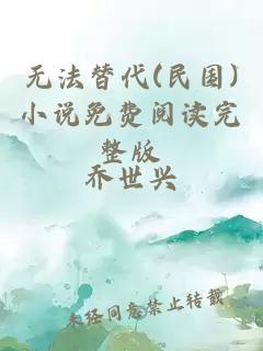 无法替代(民国)小说免费阅读完整版