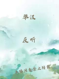 举汉