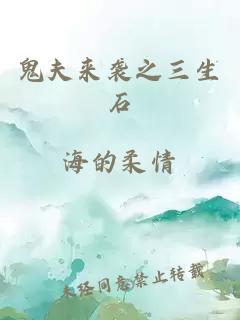 鬼夫来袭之三生石