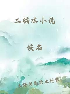 二锅水小说