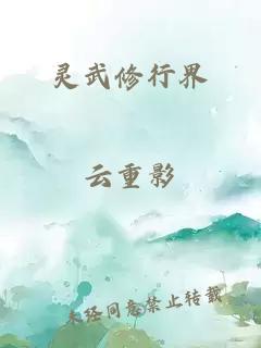 灵武修行界