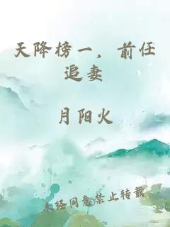 天降榜一，前任追妻