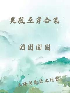 昊毅互穿合集