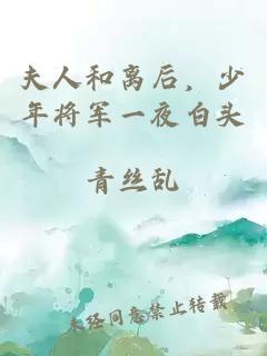 夫人和离后，少年将军一夜白头