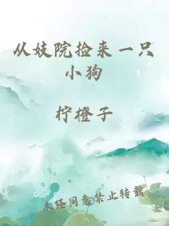 从妓院捡来一只小狗