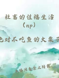 社畜的性福生活（np）