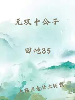 无双十公子