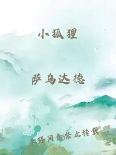 小狐狸