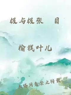 极与极张嫮目