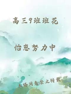 高三9班班花