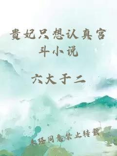 贵妃只想认真宫斗小说