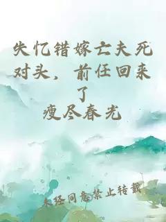 失忆错嫁亡夫死对头，前任回来了