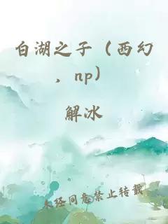 白湖之子（西幻，np）